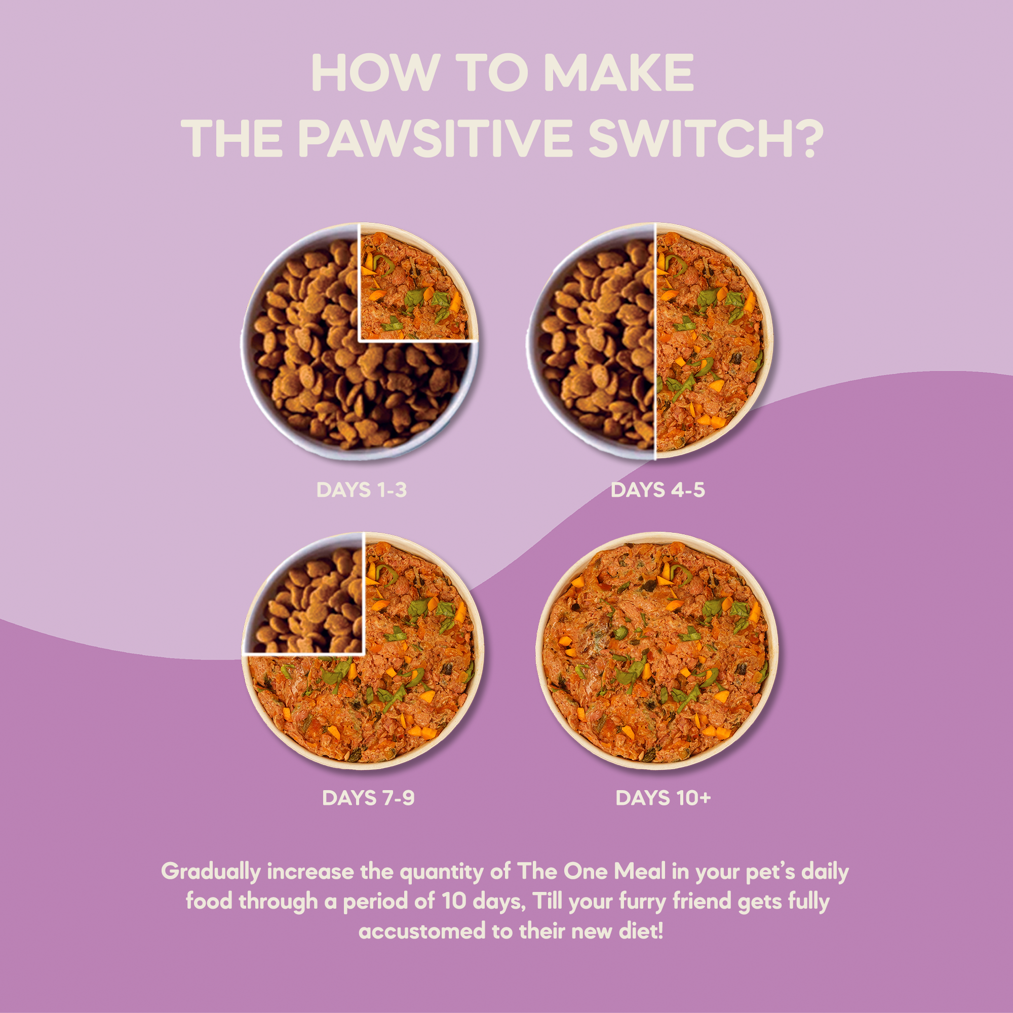 Adult Cat Food (1+ Years) | 100g